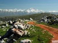 2026-05-09 Le cime di Casamaina 074